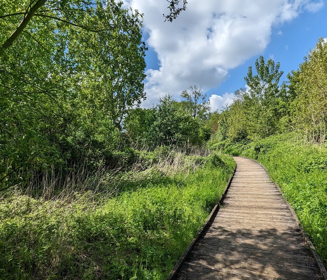 Parc des Aulnes 1
